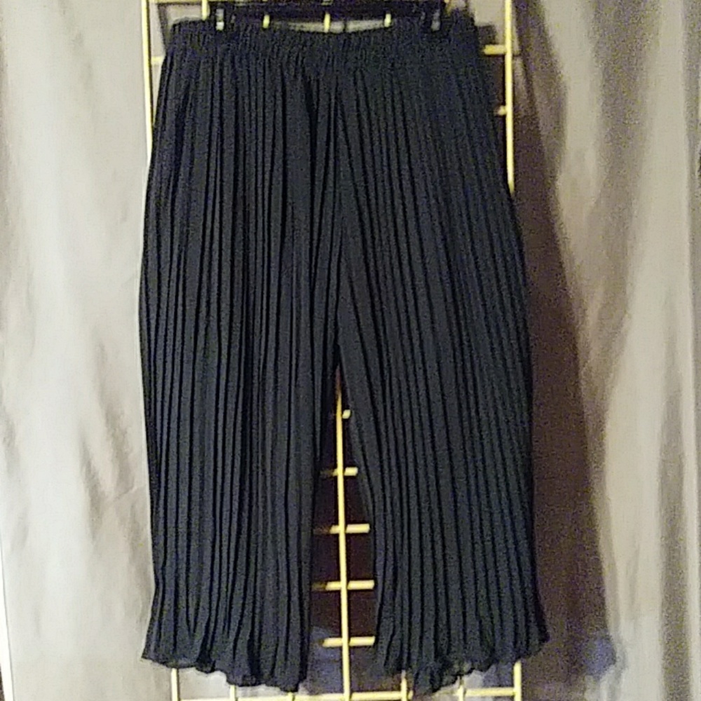 Sexy Sheer Dress Pants